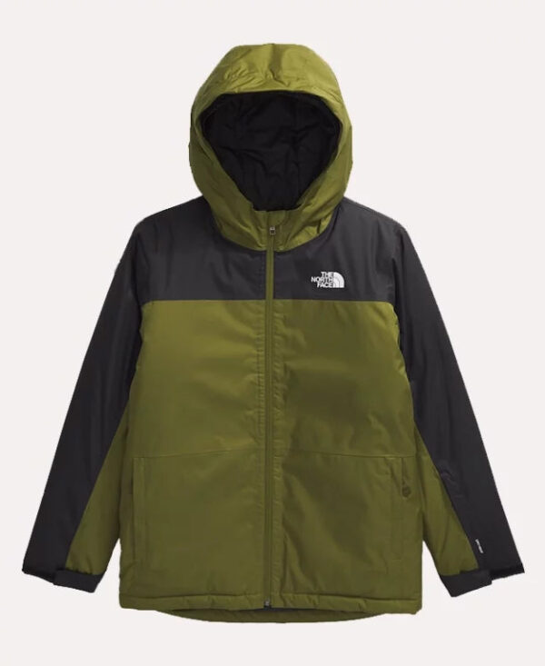 TheNorthFaceBoysFreedomPufferJacketHood