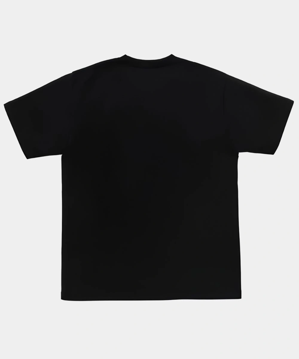 BAPE x Hidden 2026 Go Hidden Pullover T-Shirt Black